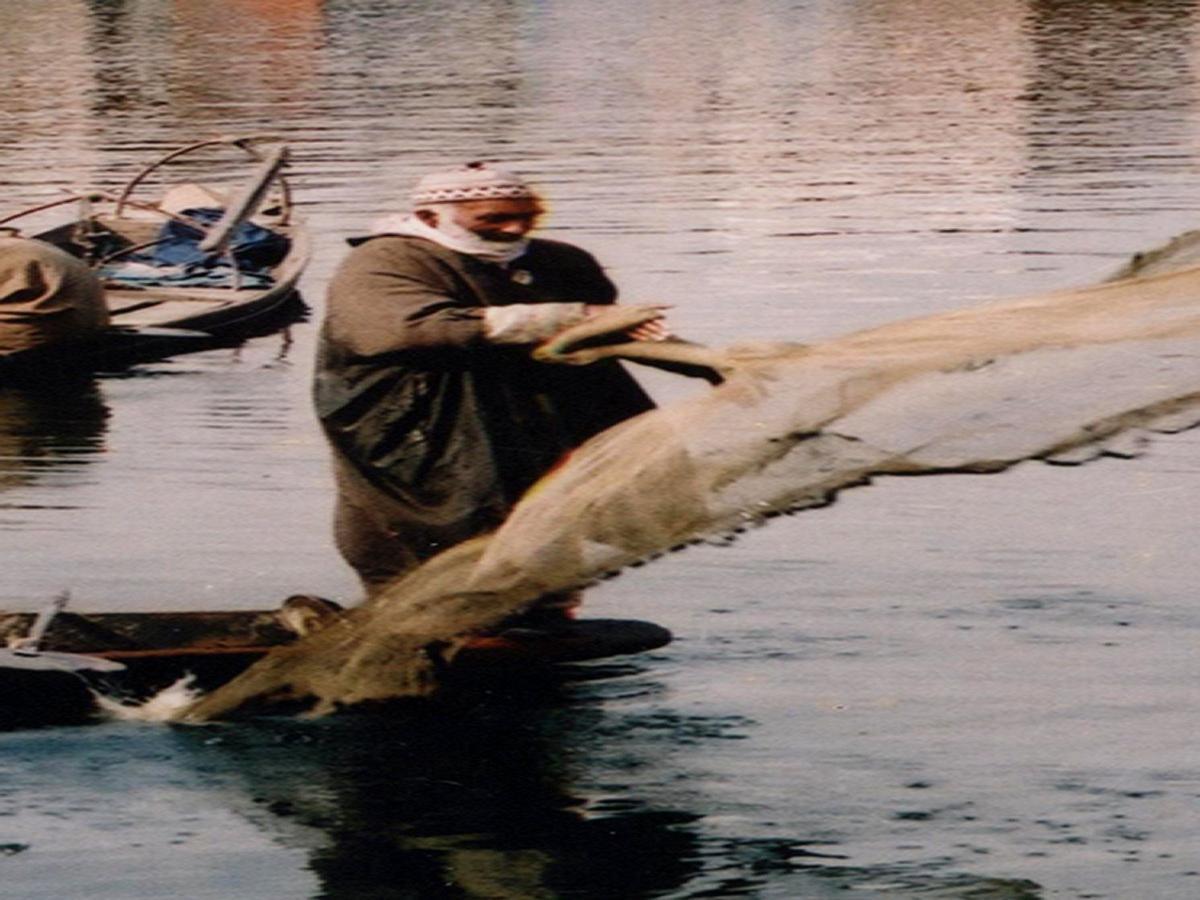 فندق شيكاغو جروب أوف هاوسبووتس Srīnagar المظهر الخارجي الصورة